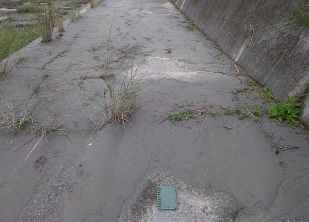 花蓮縣壽豐鄉月眉村崩坎西南方花蓮溪沙地河床發生連續400公尺地裂噴砂現象，堤防結構破壞發生裂隙。(根據經濟部中央地質調查所, 2018)